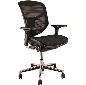 Enjoy Mesh & Leather Office Chairs (Without Headrest) | Posture ...