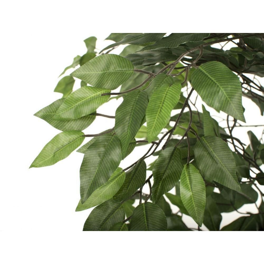 Ficus Benjamina Danielle Weeping Fig Tree - 6ft | Artificial Plants